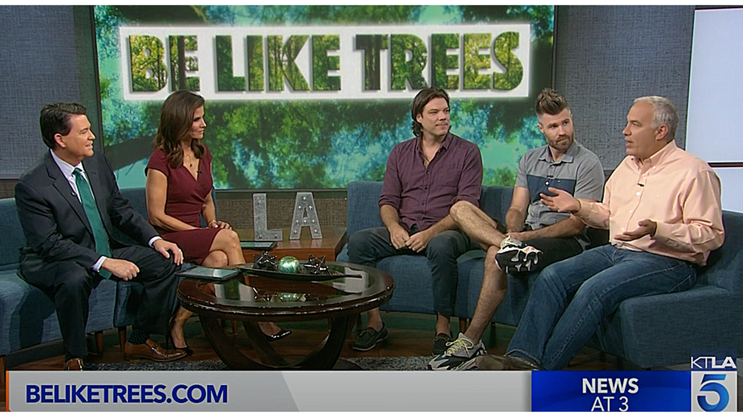 Be Like Trees Interview